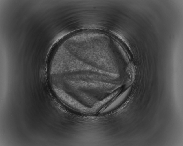 X0000087000971200705071503