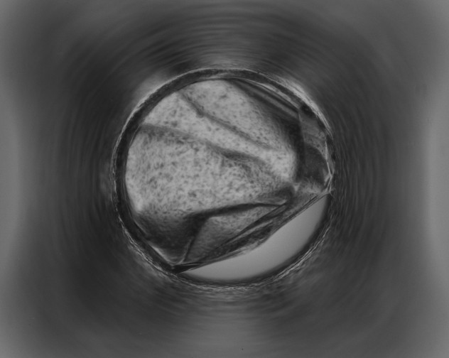 X0000087000972200705071503