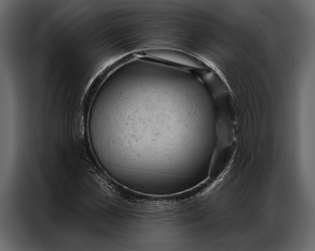 X0000087000973200705071503