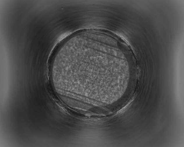 X0000087000974200705071503