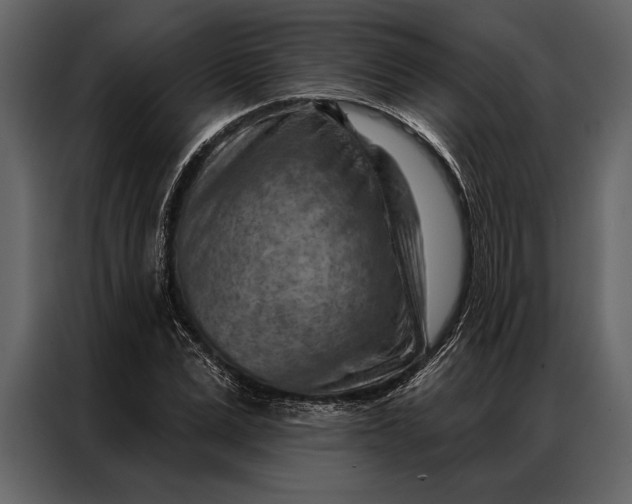 X0000087000975200705071502