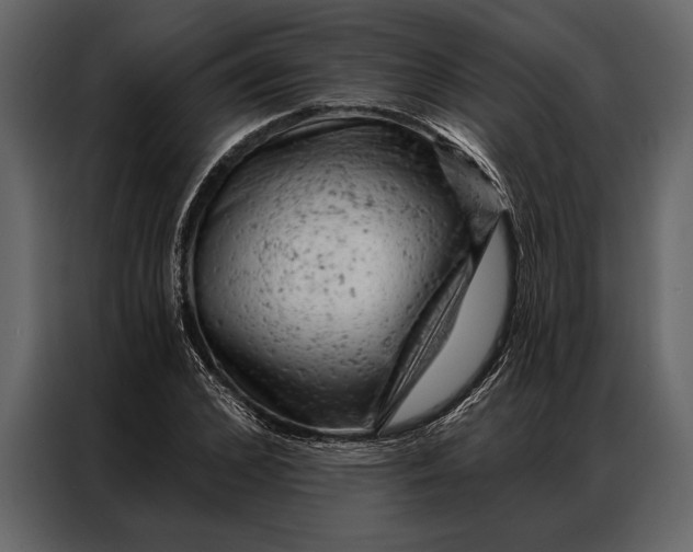 X0000087000976200705071502