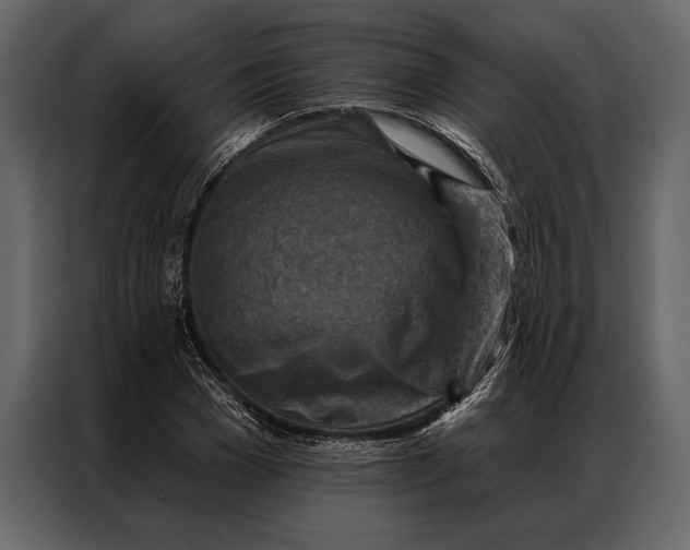 X0000087000977200705071502