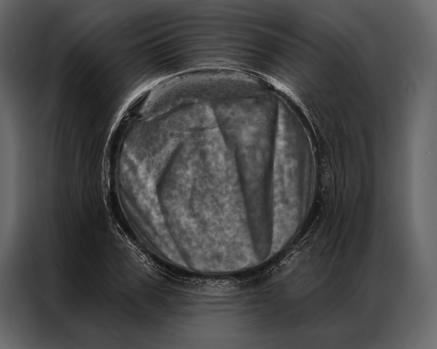 X0000087000979200705071502