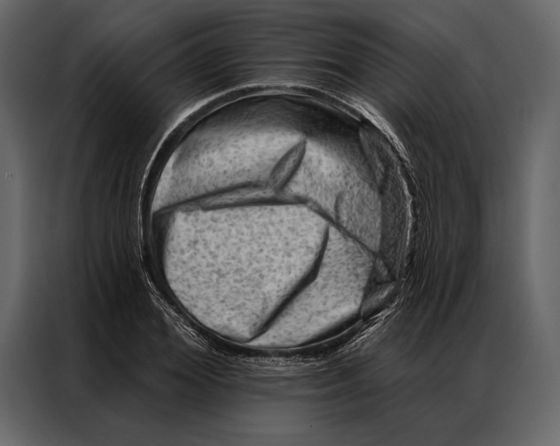 X0000087000980200705071502