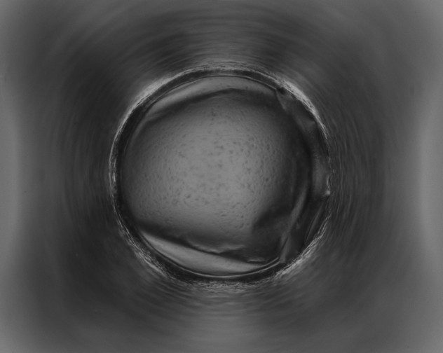 X0000087000981200705071502