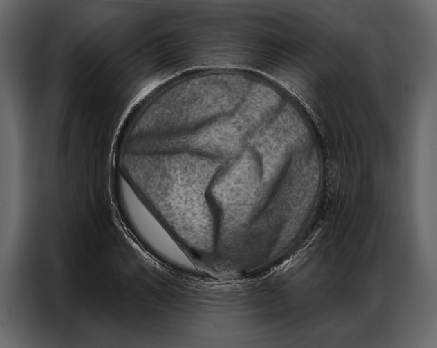 X0000087000982200705071502