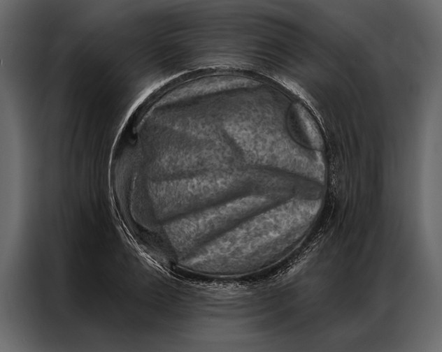 X0000087000983200705071502