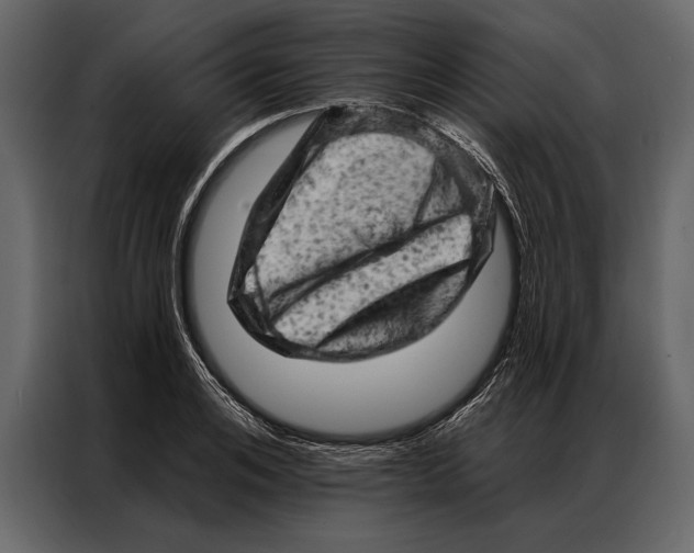 X0000087000984200705071502