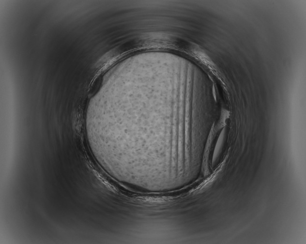 X0000087000985200705071502