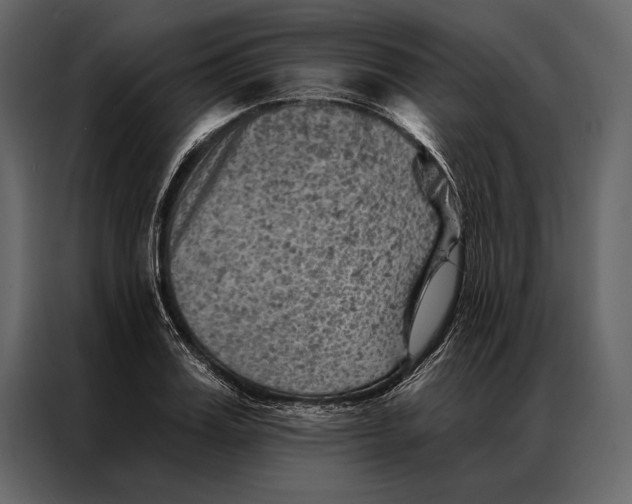 X0000087000987200705071502