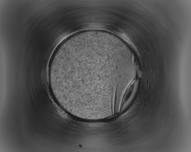 X0000087000988200705071502