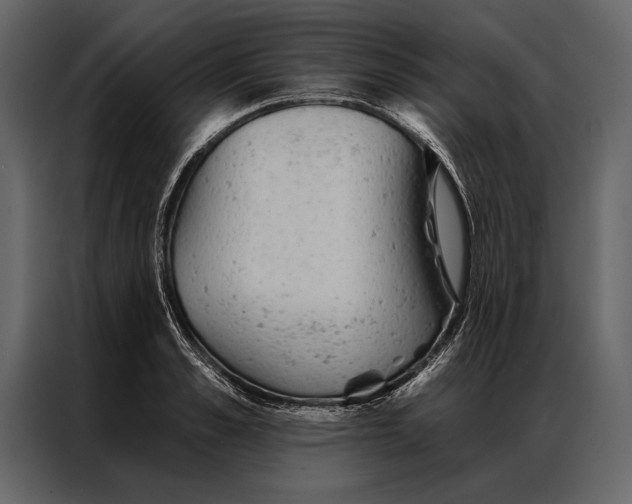 X0000087000989200705071502