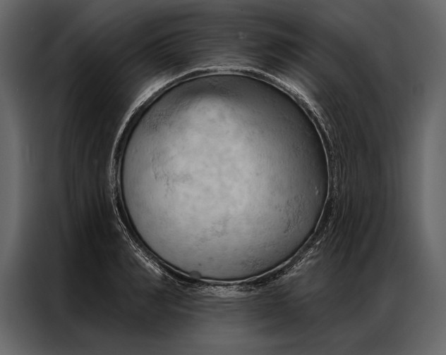 X0000087000990200705071502