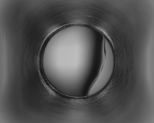 X0000087000991200705071502