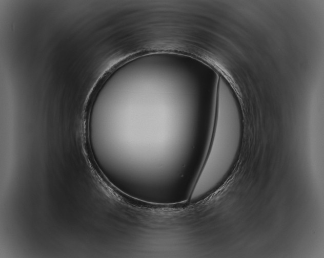 X0000087000992200705071502