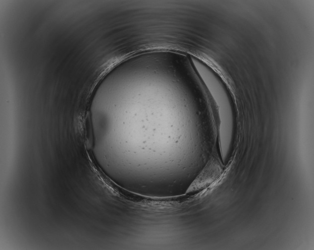 X0000087000993200705071502