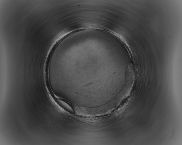 X0000087000995200705071502