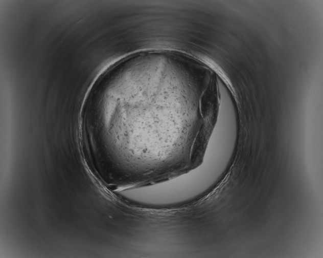 X0000087000996200705071502