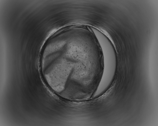 X0000087000997200705071502