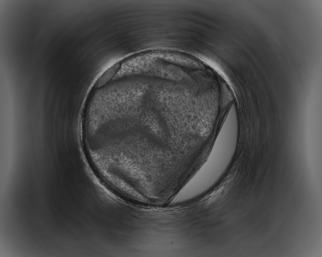 X0000087000999200705071502