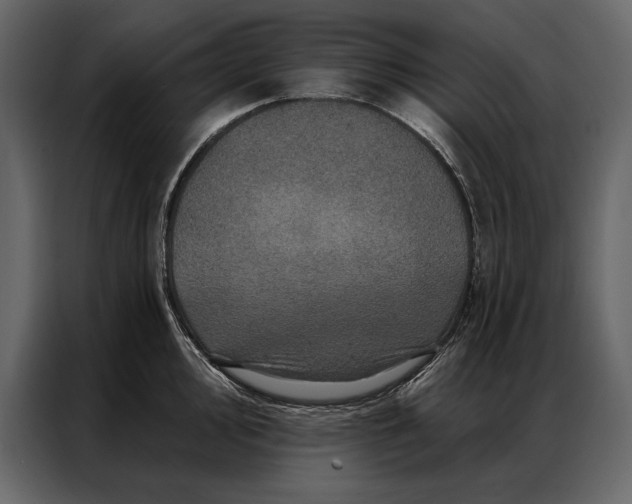 X0000087001000200705071502