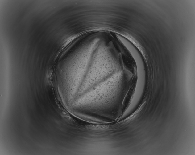 X0000087001001200705071502