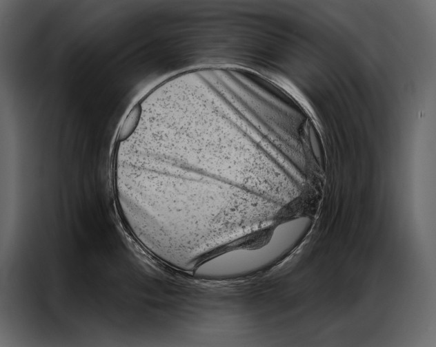 X0000087001004200705071502