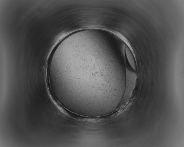 X0000087001005200705071502