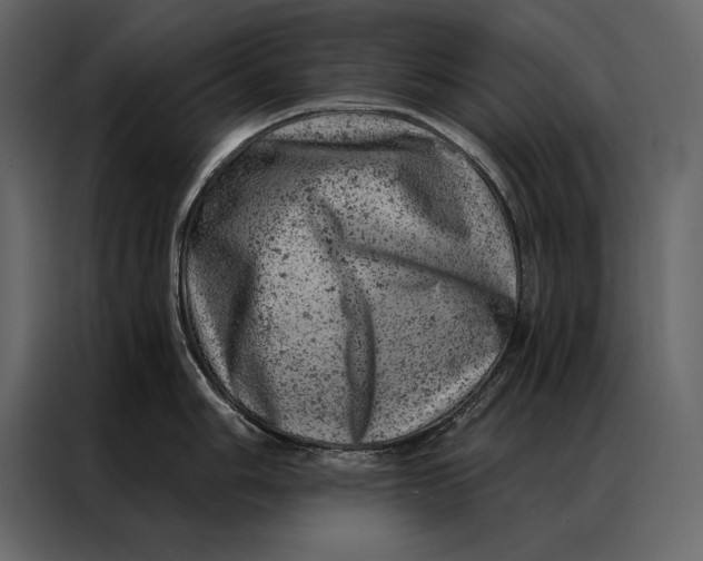 X0000087001006200705071502