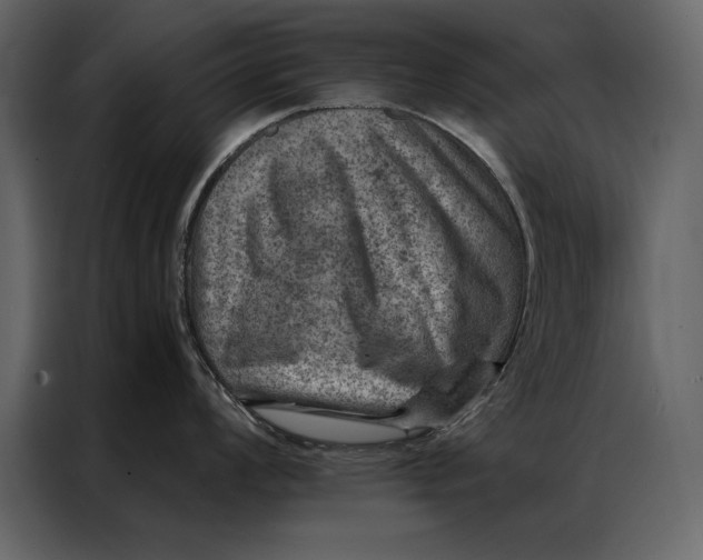 X0000087001008200705071502