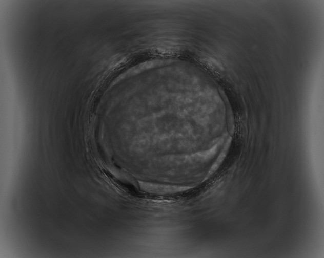 X0000087001009200705071501