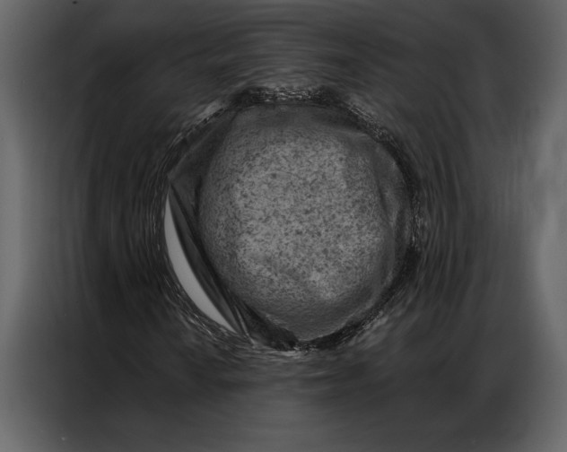 X0000087001010200705071501