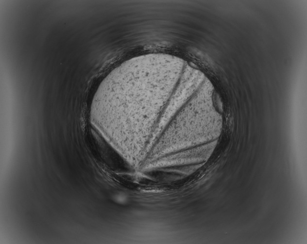 X0000087001012200705071501