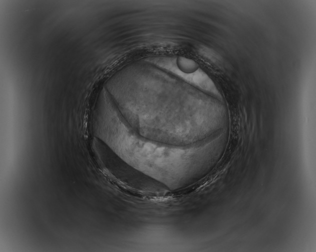 X0000087001013200705071502