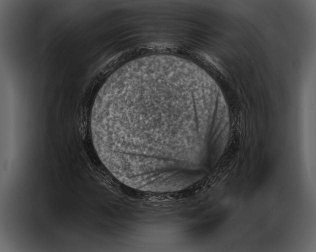 X0000087001015200705071502