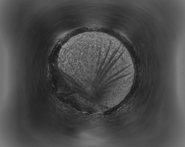 X0000087001016200705071502