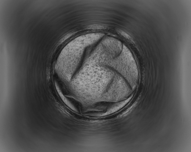 X0000087001017200705071502