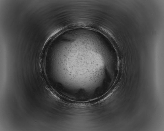 X0000087001018200705071502