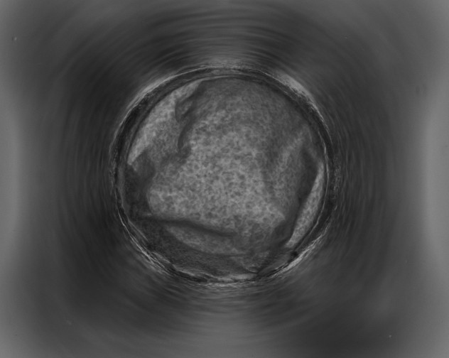 X0000087001019200705071502