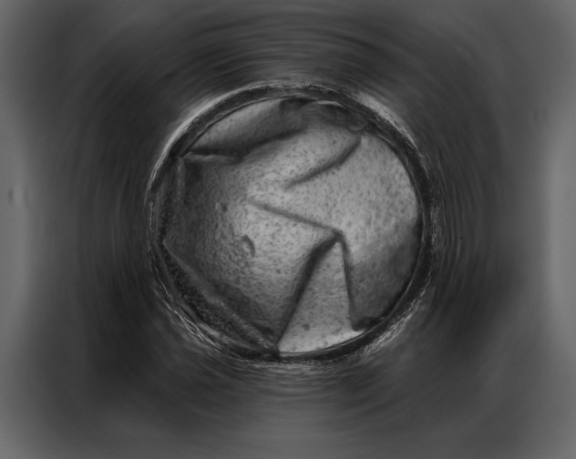 X0000087001021200705071502