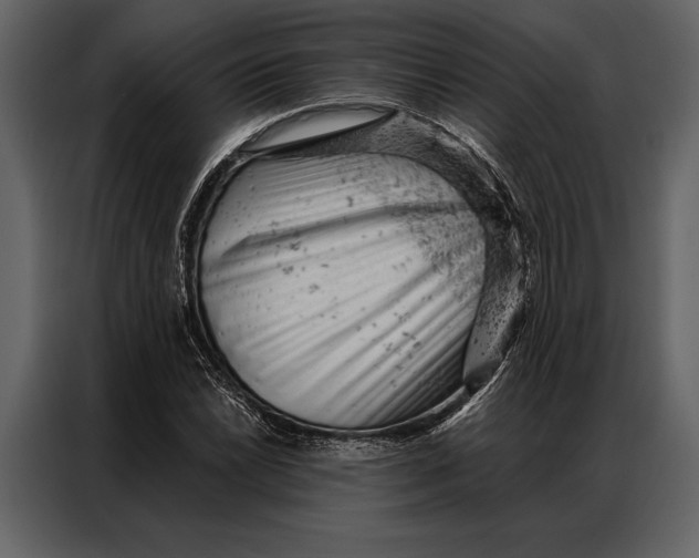 X0000087001022200705071502