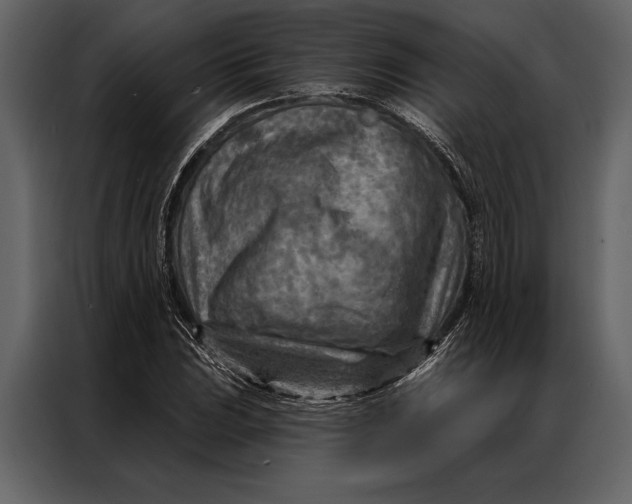 X0000087001023200705071502