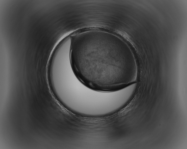 X0000087001024200705071502