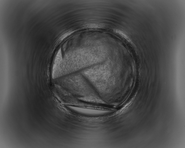 X0000087001025200705071502