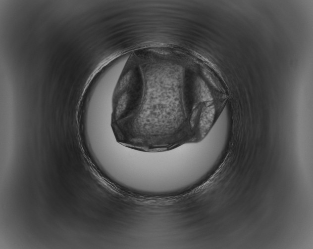 X0000087001026200705071502