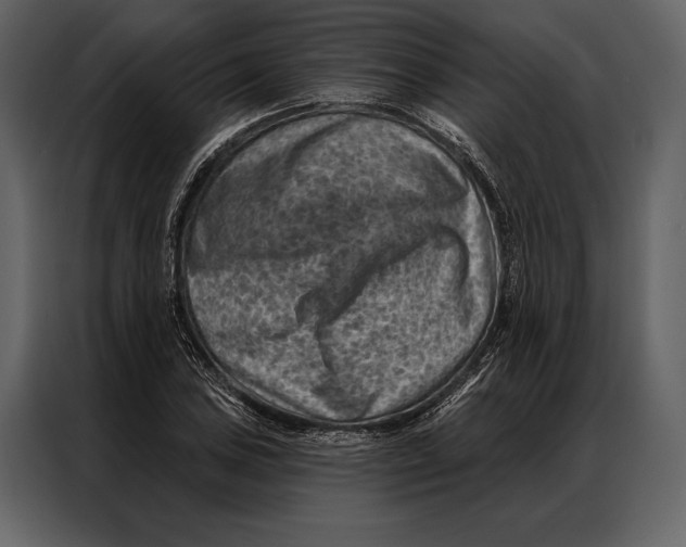 X0000087001027200705071502