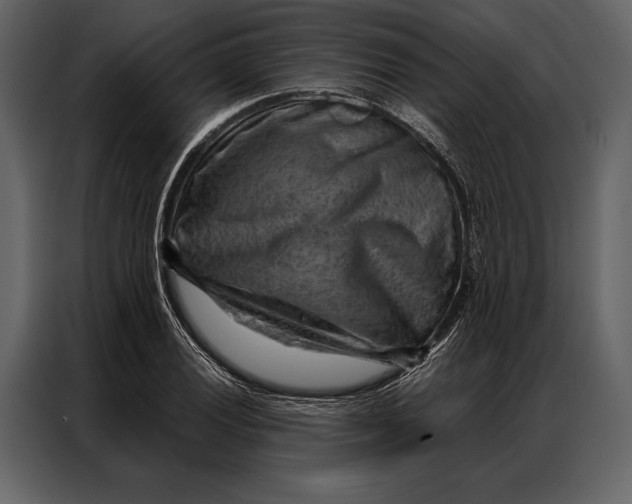 X0000087001028200705071502