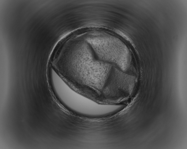 X0000087001029200705071502