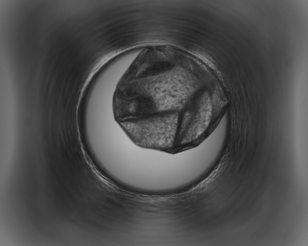 X0000087001030200705071502